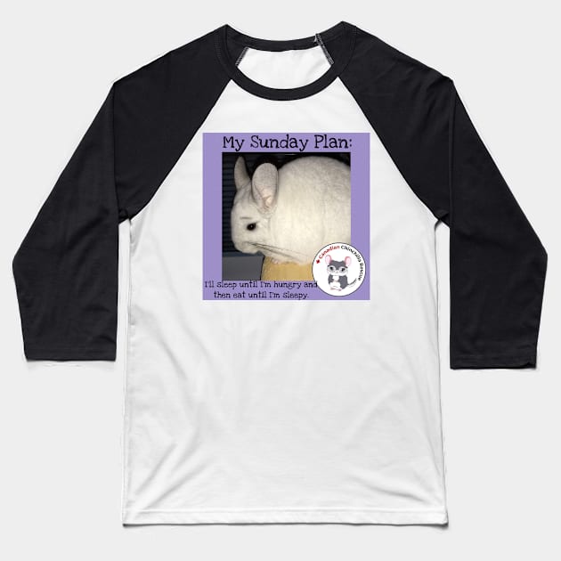 Chinchilla inspirational thoughts Baseball T-Shirt by canchinrescue